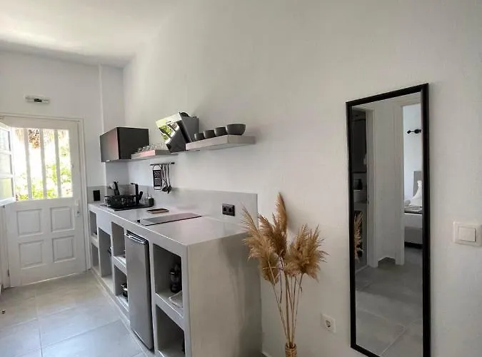 Maria's Garden Lägenhet Antiparos